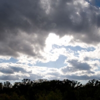 090606Linda McGarva CohenDSC_3064