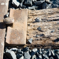 090606Linda McGarva CohenDSC_3151