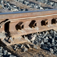 090606Linda McGarva CohenDSC_3153