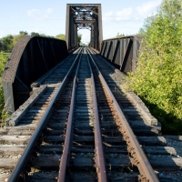 090606Linda McGarva CohenDSC_3159